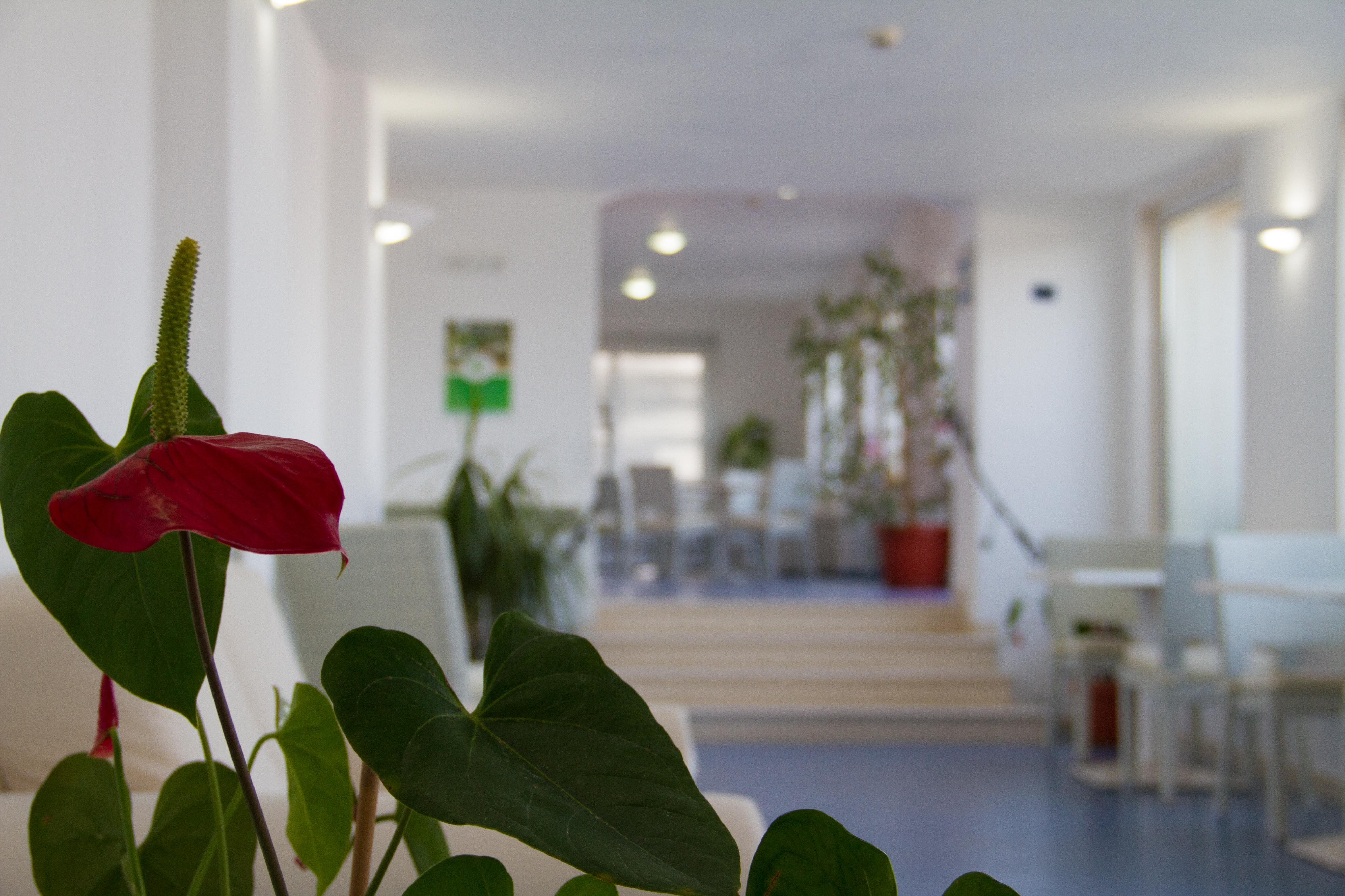 Hotel La Sorgente Savelletri Zewnętrze zdjęcie